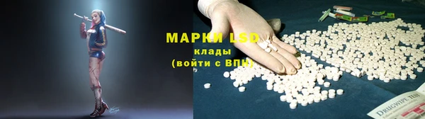 шишки Баксан