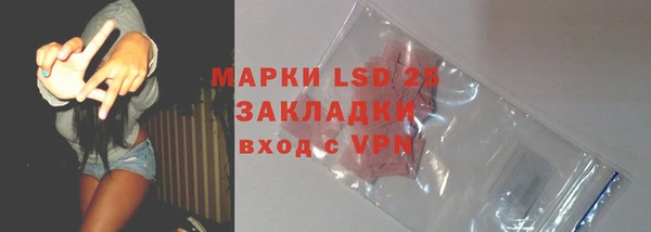 шишки Баксан
