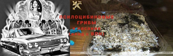 шишки Баксан
