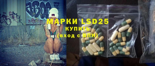 шишки Баксан
