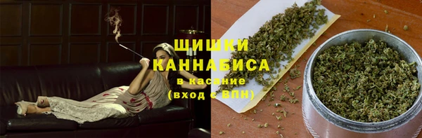 шишки Баксан