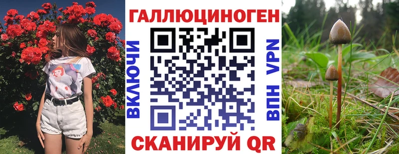 ссылка на мегу зеркало  как найти закладки  Обоянь  Псилоцибиновые грибы прущие грибы 